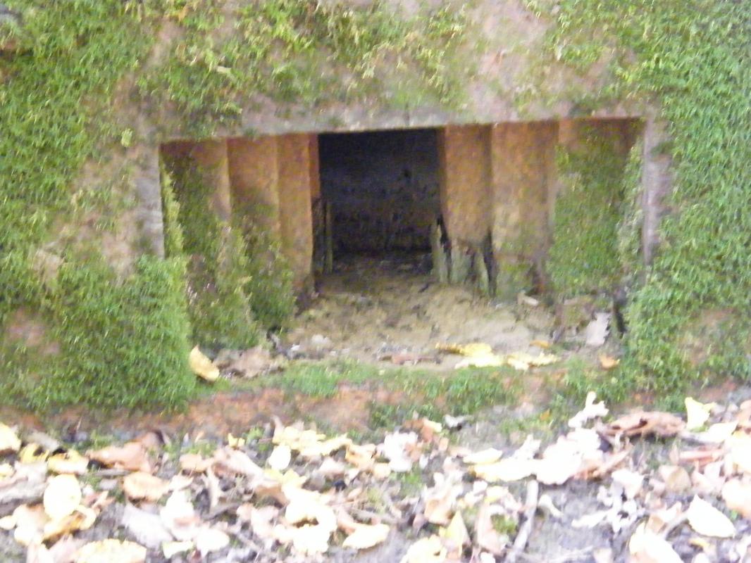 Ligne Maginot - CB443 - BOIS KARRE 7 - (Blockhaus pour arme infanterie) - 