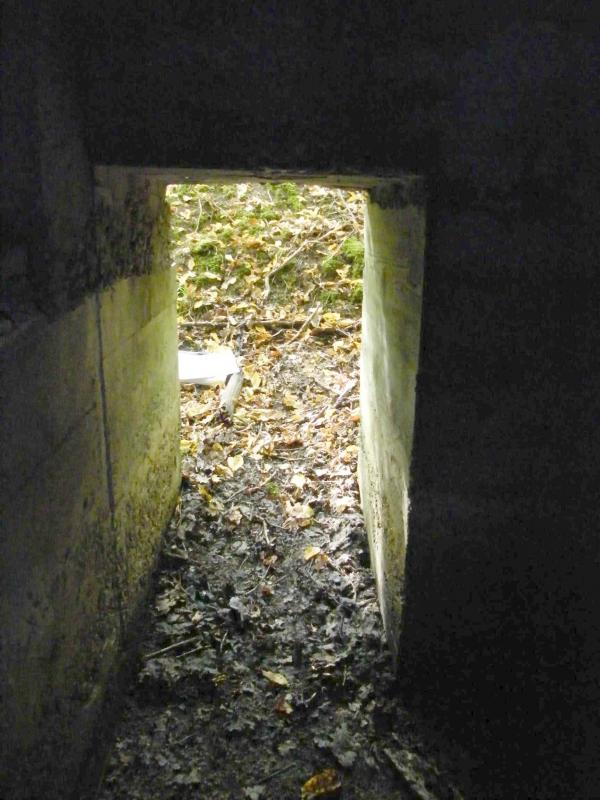 Ligne Maginot - CB443 - BOIS KARRE 7 - (Blockhaus pour arme infanterie) - 