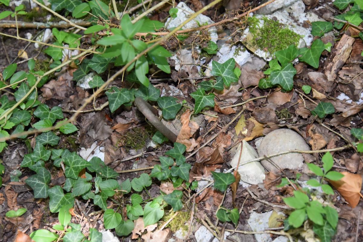 Ligne Maginot - BRIGGMATTEN BERGE SUD - (Blockhaus pour arme infanterie) -   Exemple de gravats et ferraille  - Daniel Froehly