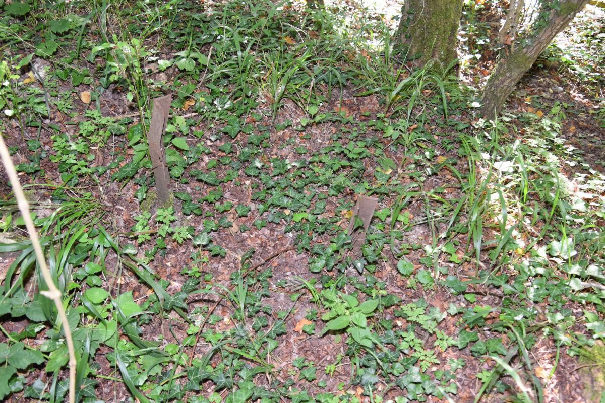 Ligne Maginot - BRIGGMATTEN BERGE SUD - (Blockhaus pour arme infanterie) - Piquet pour barbelé - Daniel Froehly