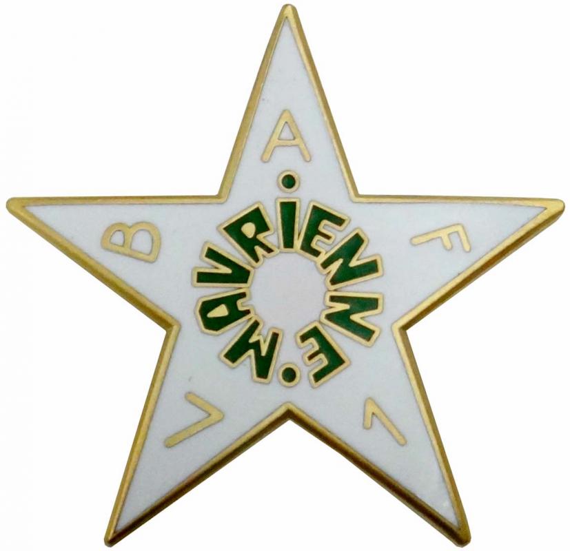 Ligne Maginot - Insigne le la SES 71° BAF -  Insigne de la Section d'Eclaireurs Skieurs du 71° Bataillon Alpin de Forteresse 