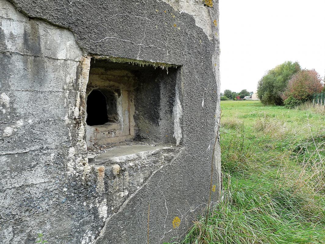 Ligne Maginot - B445 - LA VOIE-NOIRE - (Blockhaus pour canon) - 
