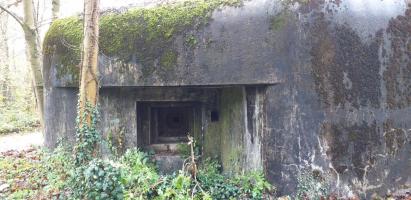 Ligne Maginot - 3 - UNTERJAEGERHOF - ROUTE DU WALDHOF - (Casemate d'infanterie - Simple) - Créneau FM nord-est