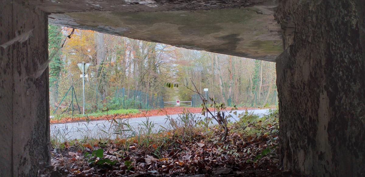 Ligne Maginot - 3 - UNTERJAEGERHOF - ROUTE DU WALDHOF - (Casemate d'infanterie - Simple) - Chambre de tir gauche, vue depuis le créneau mitrailleuse (route du Fort Ney)