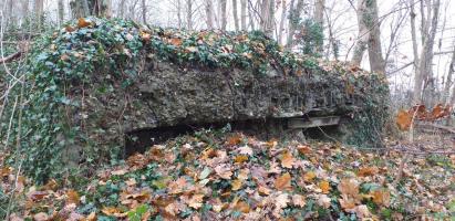 Ligne Maginot - FORT FOCH GLACIS - (Blockhaus pour arme infanterie) - Façade de la chambre de tir
