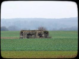 Ligne Maginot - CB15 - KUNSNUET NORD - (Blockhaus pour canon) -      2019