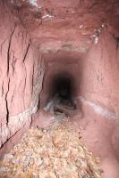 Ligne Maginot - PHILIPPSBOURG (154°RIF - 1/168°RAP) - (PC de Sous-Secteur) - Accès à la galerie de sureté                                       