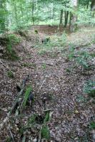 Ligne Maginot - HOHENFELS - QUARTIER NEUNHOFFEN (III / 154° RIF) - (PC de Quartier) -     
