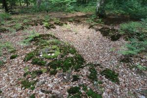 Ligne Maginot - HOHENFELS - QUARTIER NEUNHOFFEN (III / 154° RIF) - (PC de Quartier) -      