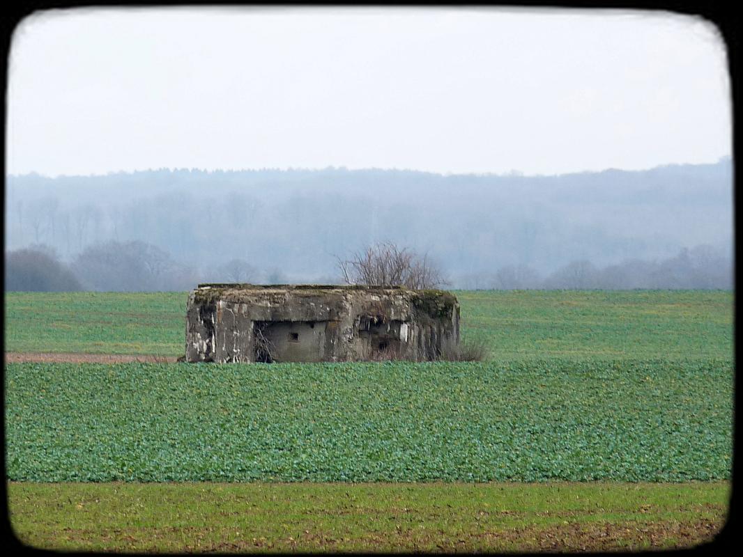 Ligne Maginot - CB15 - KUNSNUET NORD - (Blockhaus pour canon) -      2019