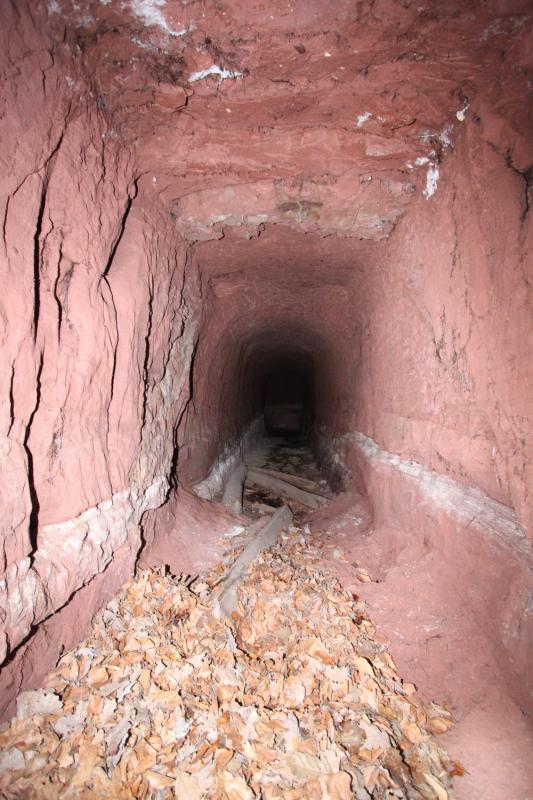 Ligne Maginot - PHILIPPSBOURG (154°RIF - 1/168°RAP) - (PC de Sous-Secteur) - Accès à la galerie de sureté                                       