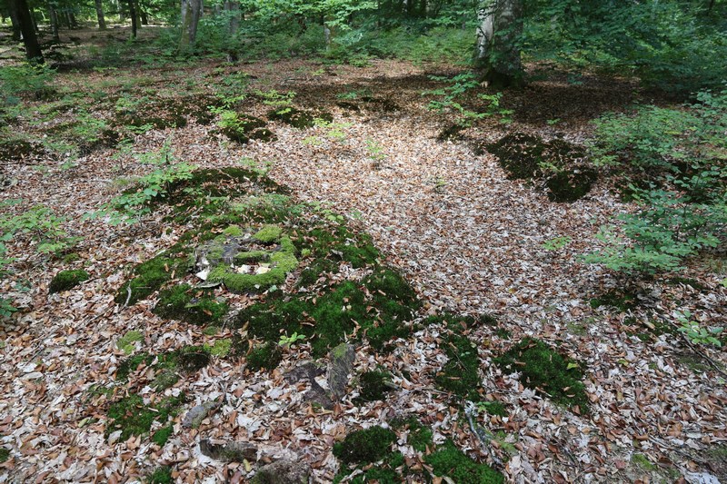 Ligne Maginot - HOHENFELS - QUARTIER NEUNHOFFEN (III / 154° RIF) - (PC de Quartier) -      