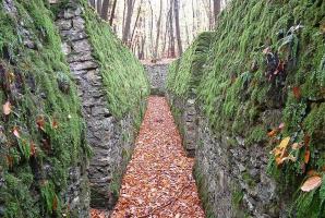 Ligne Maginot - BOIS DE PONTPIERRE (II/146° RIF) - (PC de Quartier) - 