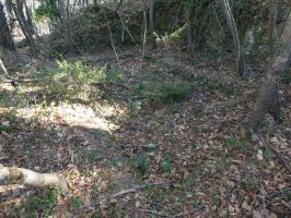 Ligne Maginot - PITSOLA Cote 669 (Point d'appui) (Divers) - Soubassement d'un casernement