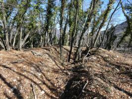 Ligne Maginot - PITSOLA Cote 669 (Point d'appui) (Divers) - 