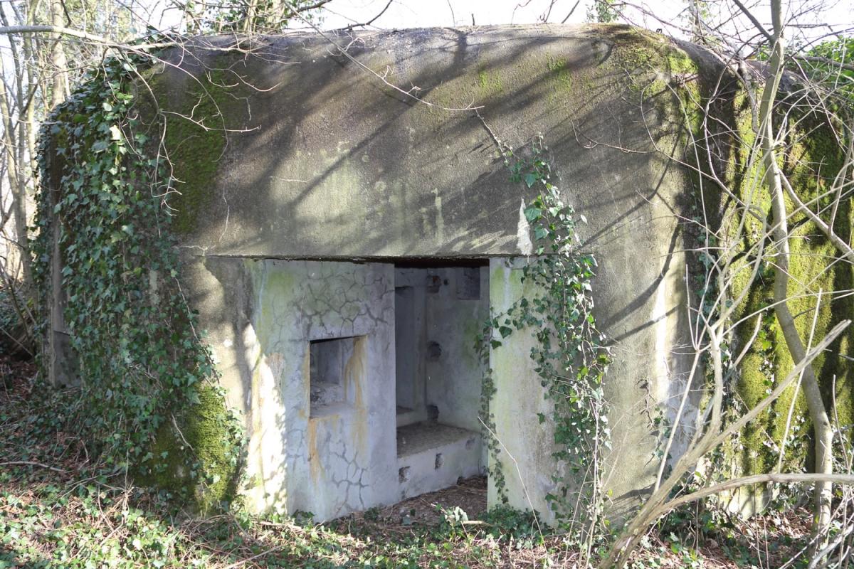 Ligne Maginot - STEINSPORENKOPF NORD - (Casemate d'infanterie - Simple) -      