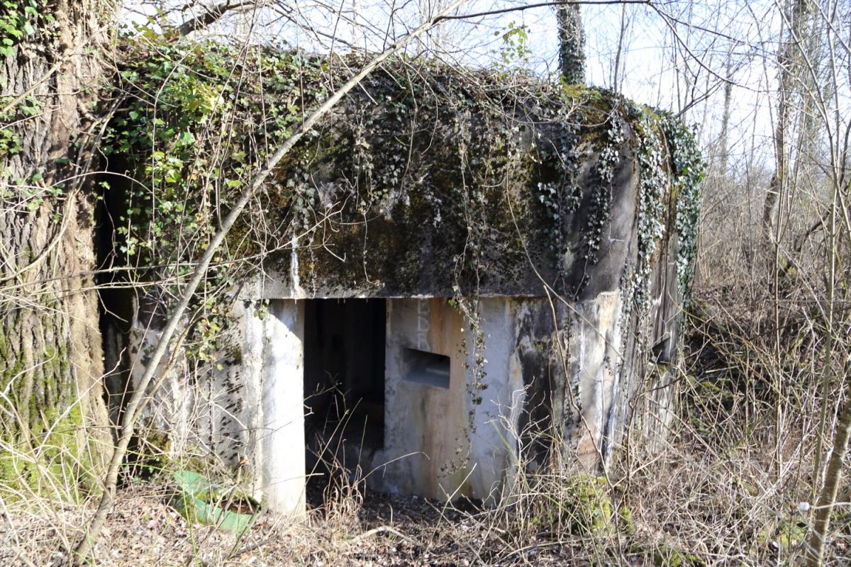 Ligne Maginot - STEINSPORENKOPF SUD - (Casemate d'infanterie - Simple) -  