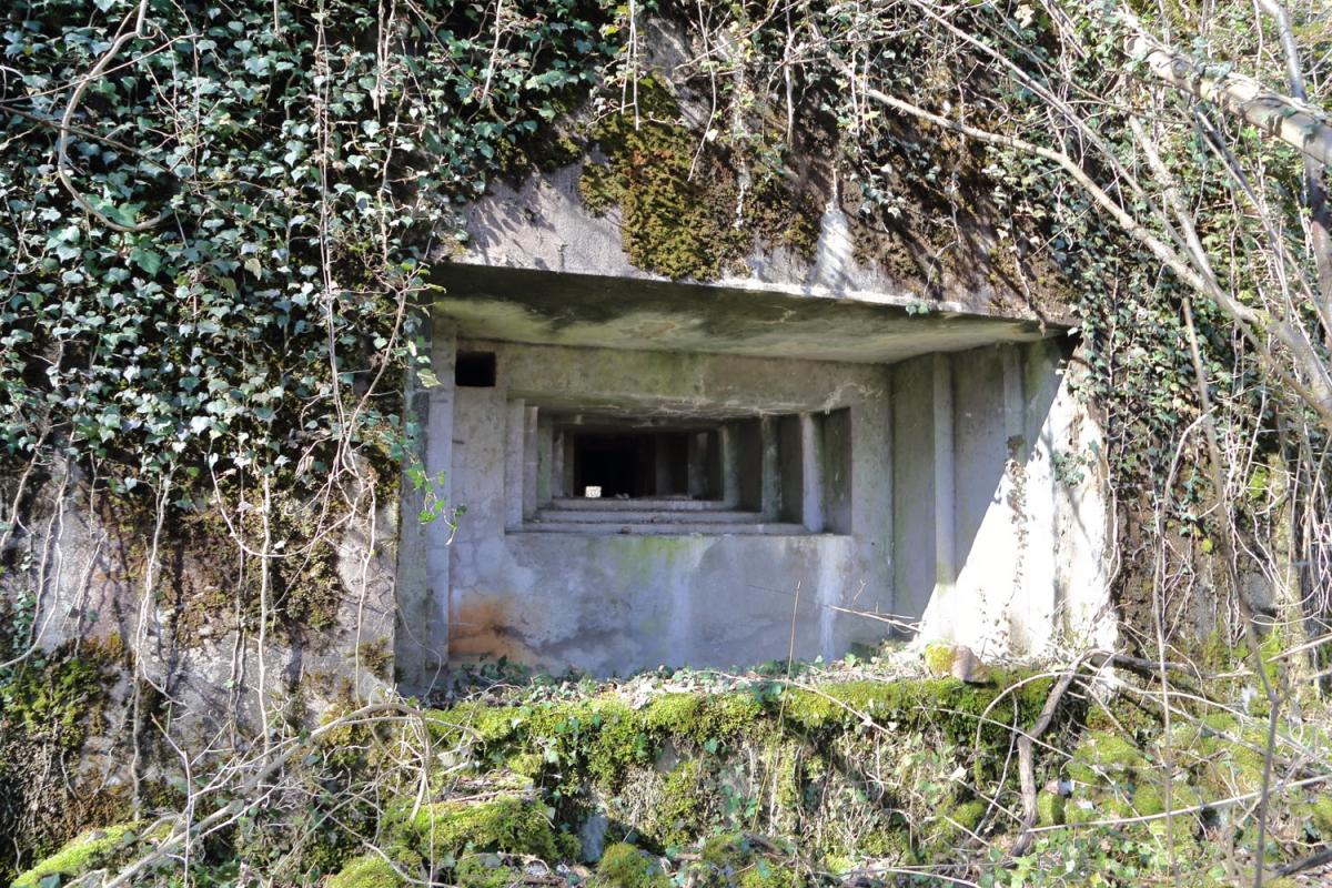 Ligne Maginot - STEINSPORENKOPF SUD - (Casemate d'infanterie - Simple) -    