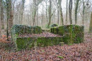 Ligne Maginot - DB377 - BOIS DE GRANDCHAMPS - (Blockhaus pour canon) - Vue de l'avant
Noter le créneau inachevé  
