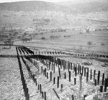 Ligne Maginot - FOUR A CHAUX - FAC - (Ouvrage d'artillerie) - Le réseau de rails antichar sur les avants de l'ouvrage
Photo prise du bloc 6 vers l'ouest