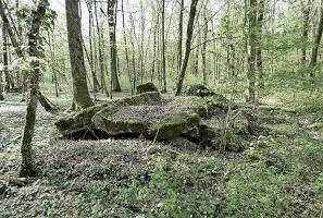 Ligne Maginot - BOIS DE DEVANT - (Abri) - 