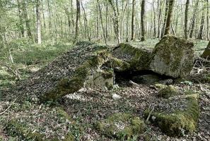 Ligne Maginot - BOIS DE DEVANT - (Abri) - 