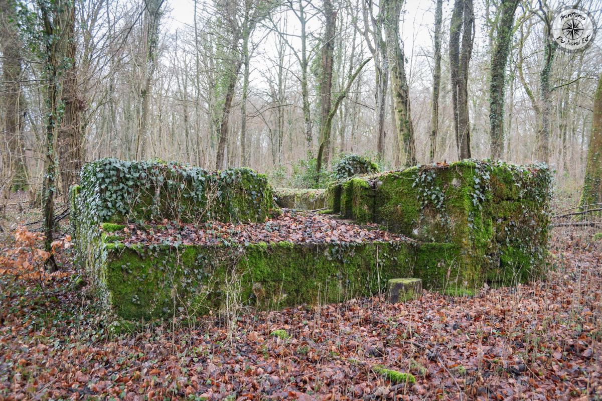 Ligne Maginot - DB377 - BOIS DE GRANDCHAMPS - (Blockhaus pour canon) - Vue de l'avant
Noter le créneau inachevé   - CALAND Thierry