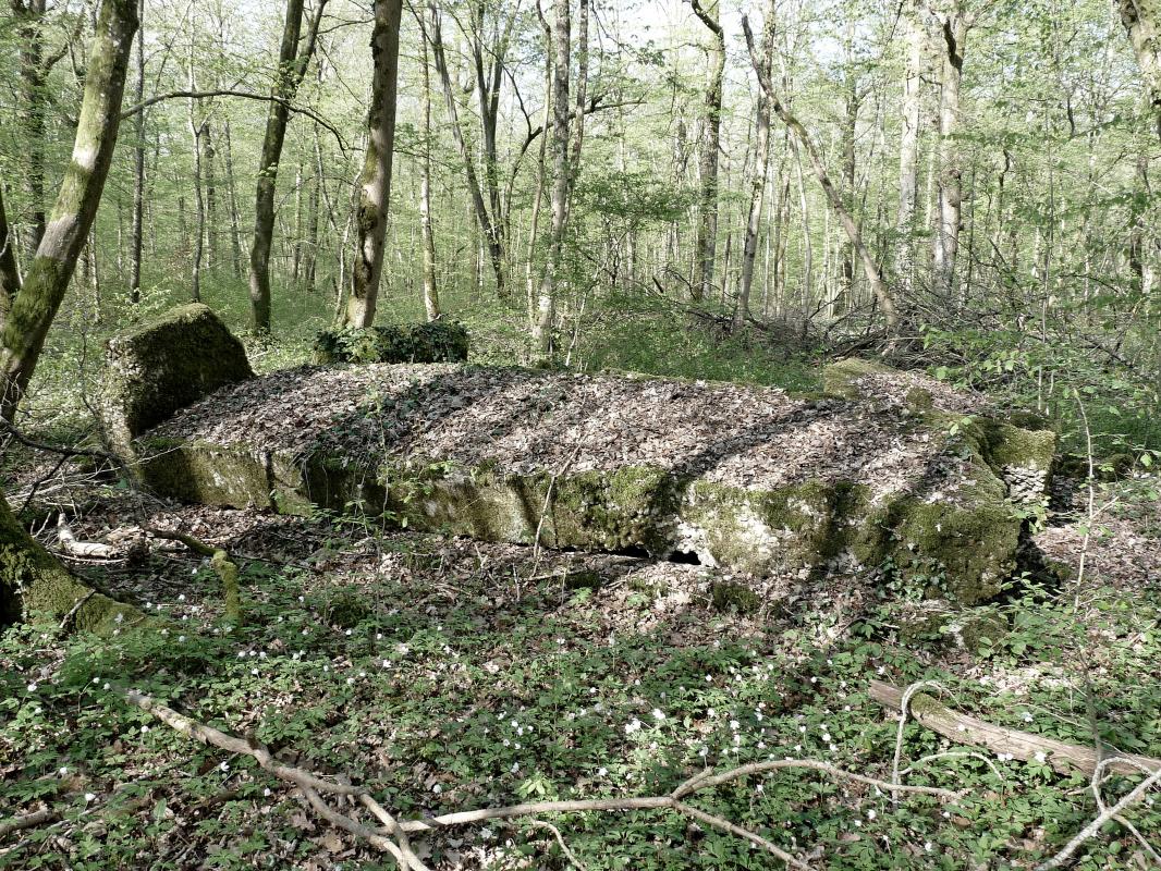 Ligne Maginot - BOIS DE DEVANT - (Abri) -  - Sylvie Laure LAMBERT