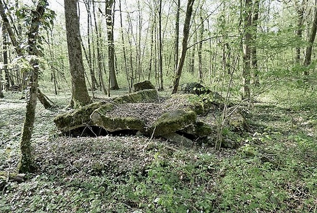 Ligne Maginot - BOIS DE DEVANT - (Abri) -  - Sylvie Laure LAMBERT