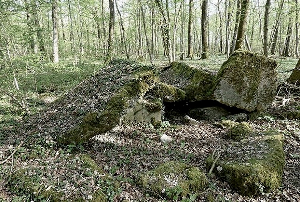Ligne Maginot - BOIS DE DEVANT - (Abri) -  - Sylvie Laure LAMBERT