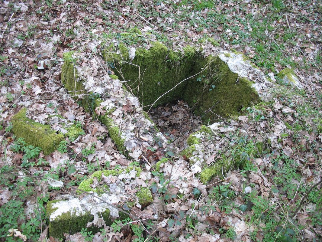 Ligne Maginot - RAUCOURT - (Camp de sureté) - Restes de regards d'assainissement