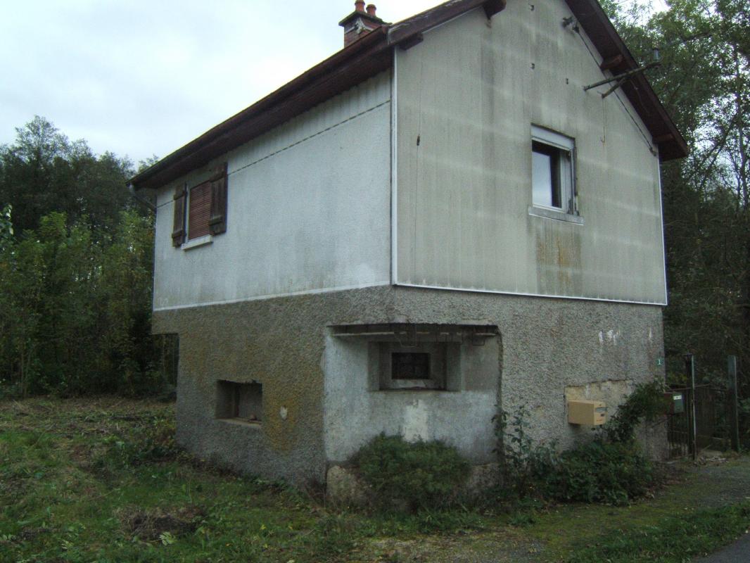 MF n°17