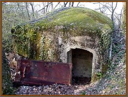Ligne Maginot - MITTELBUSCH - (Observatoire d'artillerie) - L'accès par l'arrière