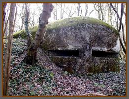 Ligne Maginot - MITTELBUSCH - (Observatoire d'artillerie) - Vue cote observation