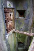 Ligne Maginot - RIPPERT - X13 (QUARTIER KARRE - II/168°RIF) - (Abri) - Entrée droite de l'abri.
La passerelle est toujours en place. Noter les deux créneaux de défense pour FM et les, discrets, restes de peinture de camouflage