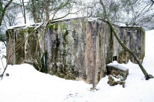 Ligne Maginot - CB316 - BROMMELSBERG SUD - (Blockhaus pour arme infanterie) - Vue latérale du blockhaus. La porte, bouchée par la terre, est sur la gauche