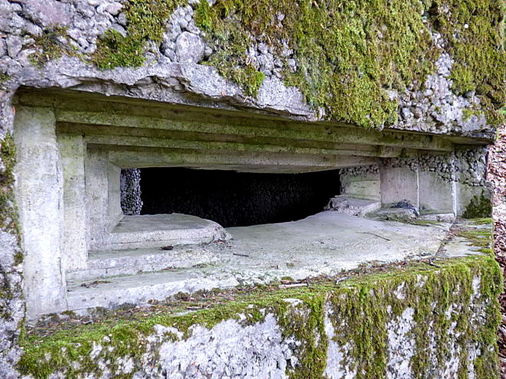 Ligne Maginot - MEISTERBUSCH 3 - (Observatoire d'infanterie) - 