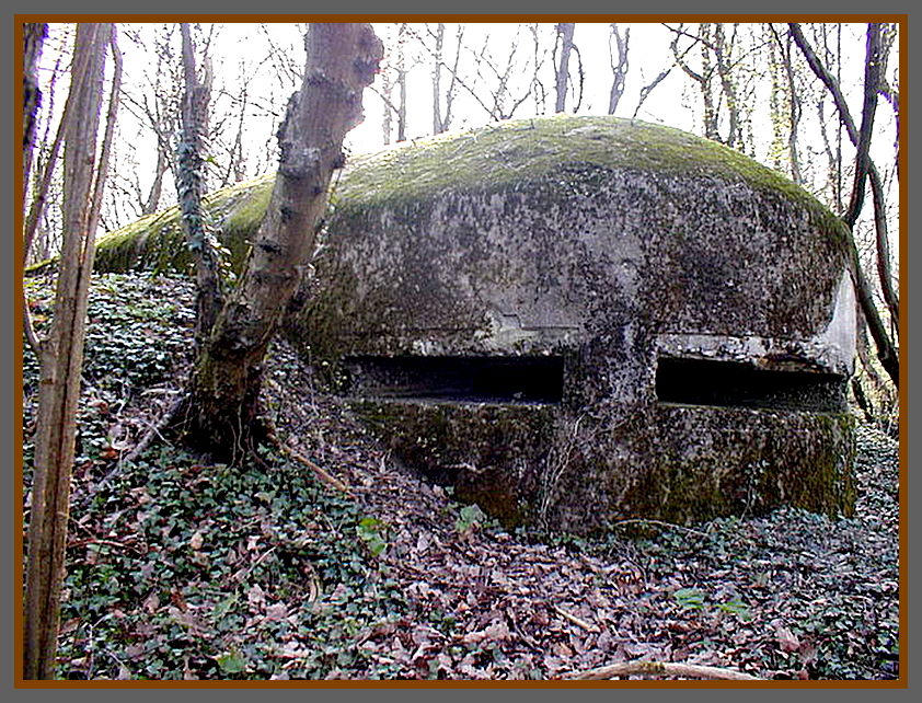 Ligne Maginot - MITTELBUSCH - (Observatoire d'artillerie) - Vue cote observation