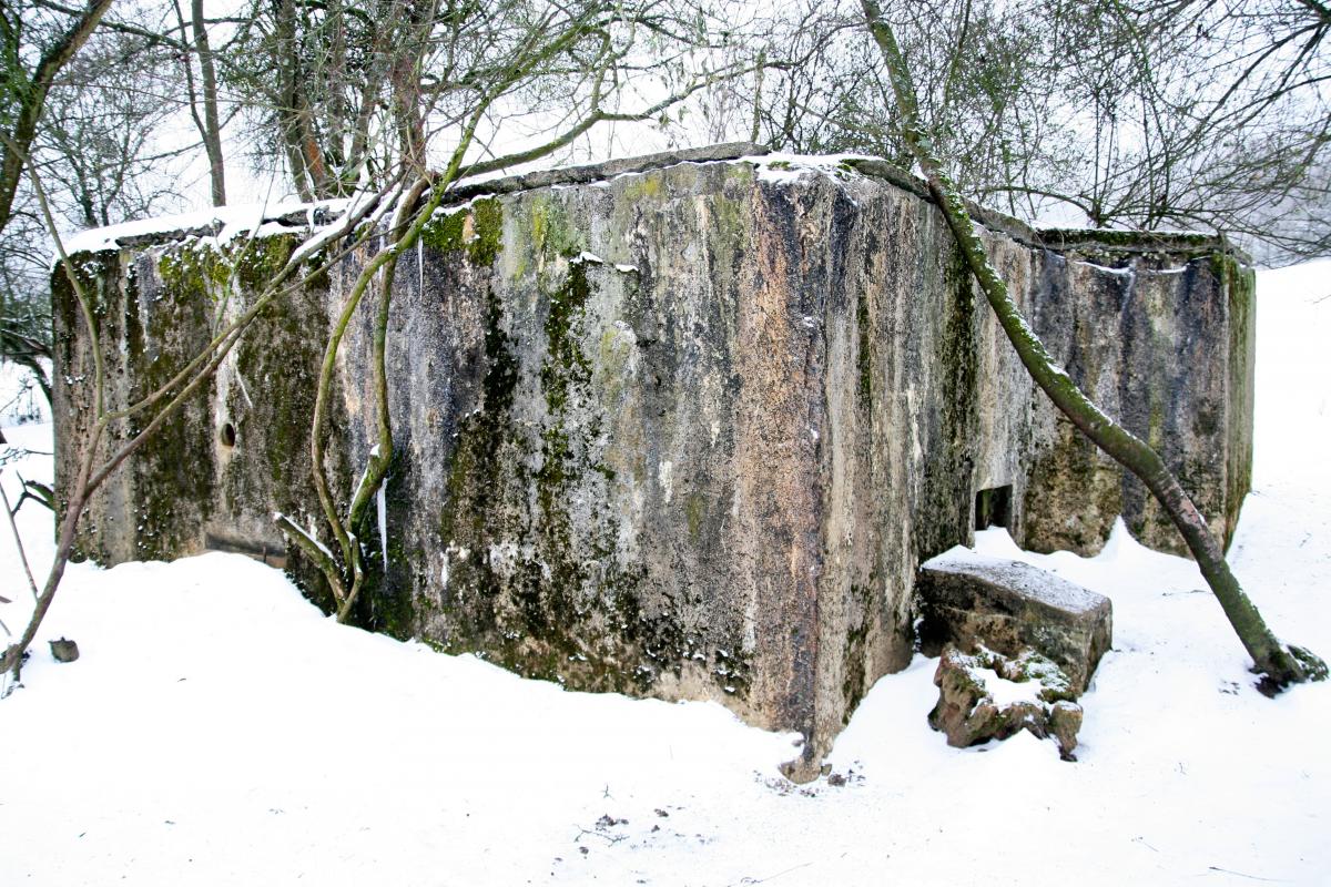 Ligne Maginot - CB316 - BROMMELSBERG SUD - (Blockhaus pour arme infanterie) - Vue latérale du blockhaus. La porte, bouchée par la terre, est sur la gauche