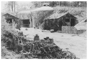 Ligne Maginot - BOIS DE KLANG - X24 (QUARTIER KLANG - III/164° RIF) - (Abri) - 