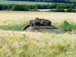Ligne Maginot - DO4 - FOND DES MOULINS - (Observatoire d'artillerie) - juin 2020