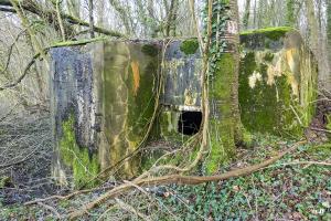 Ligne Maginot - DB346 - GRAND BOIS SUD - (Blockhaus pour arme infanterie) - 