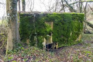 Ligne Maginot - DB346 - GRAND BOIS SUD - (Blockhaus pour arme infanterie) - 