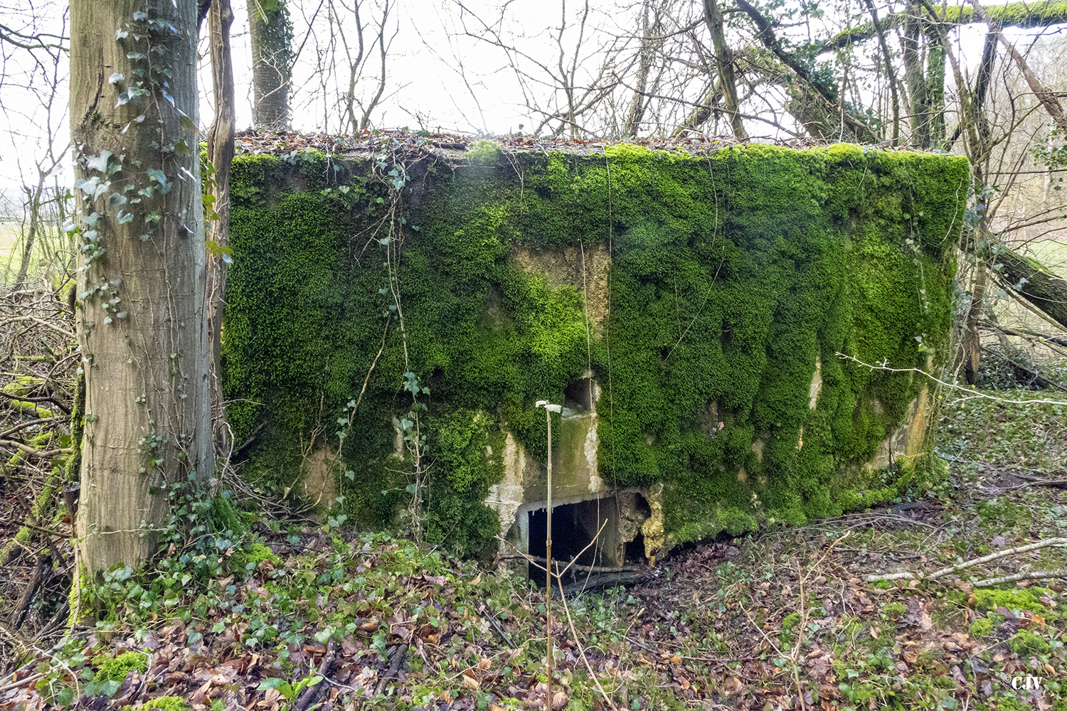 Ligne Maginot - DB346 - GRAND BOIS SUD - (Blockhaus pour arme infanterie) - 