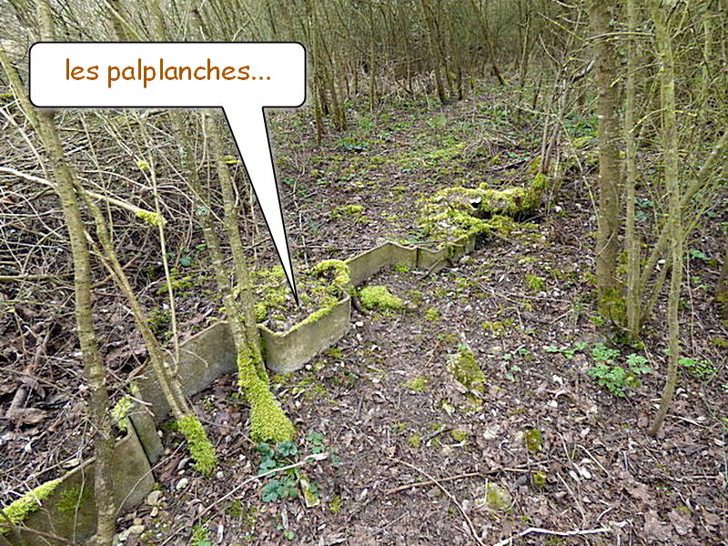 Ligne Maginot - PUTTELANGE - (Inondation défensive) - Les palplanches