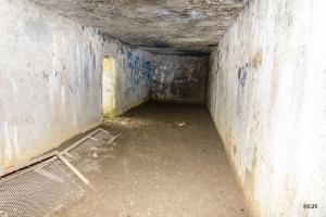 Ligne Maginot - B33 - MONT DES CONDUITS - (Abri) - 