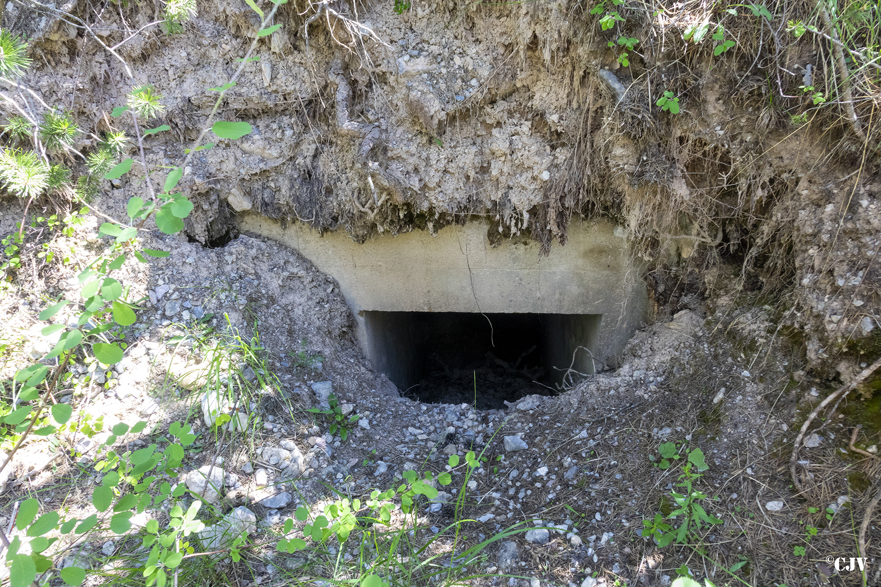 Ligne Maginot - LA PINATELLE SUD - (Abri) - L'entrée nord - Lia VERMEULEN
