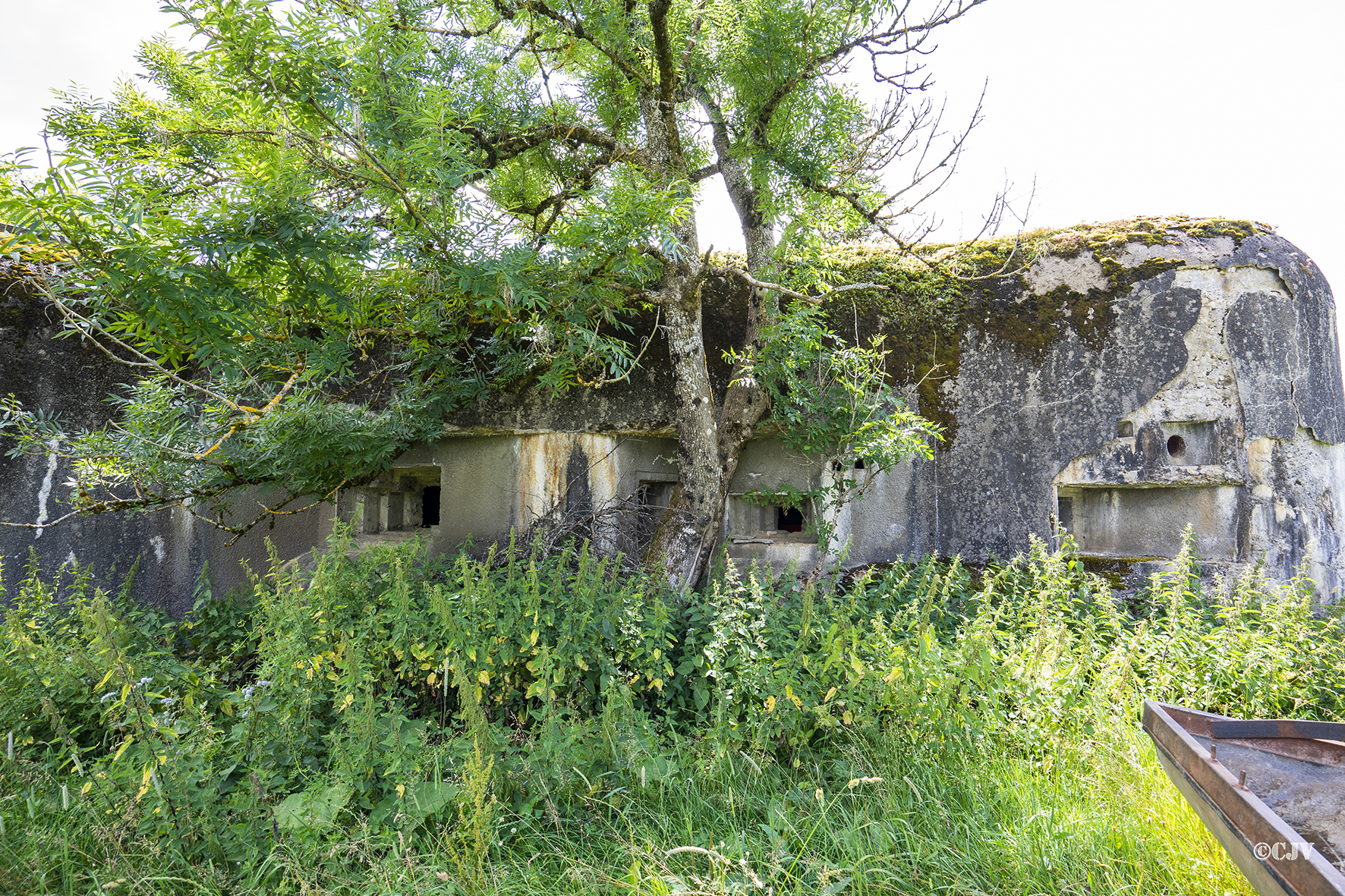 Ligne Maginot - B41 - FRANOIS - (Casemate d'infanterie - Double) - 