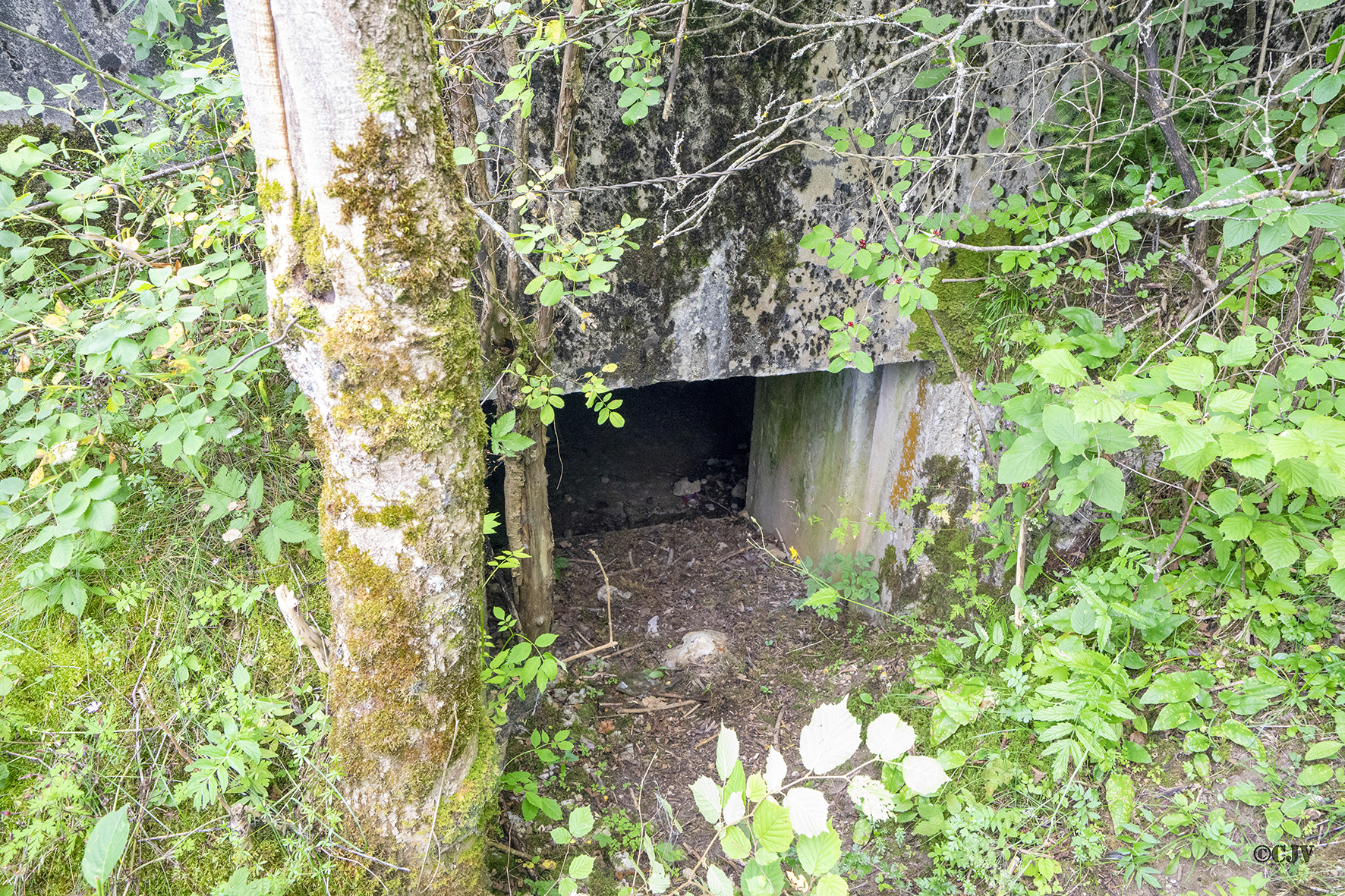 Ligne Maginot - B32 - OYE-ET-PALLET - (Blockhaus pour arme infanterie) - L'entrée pour le matériel