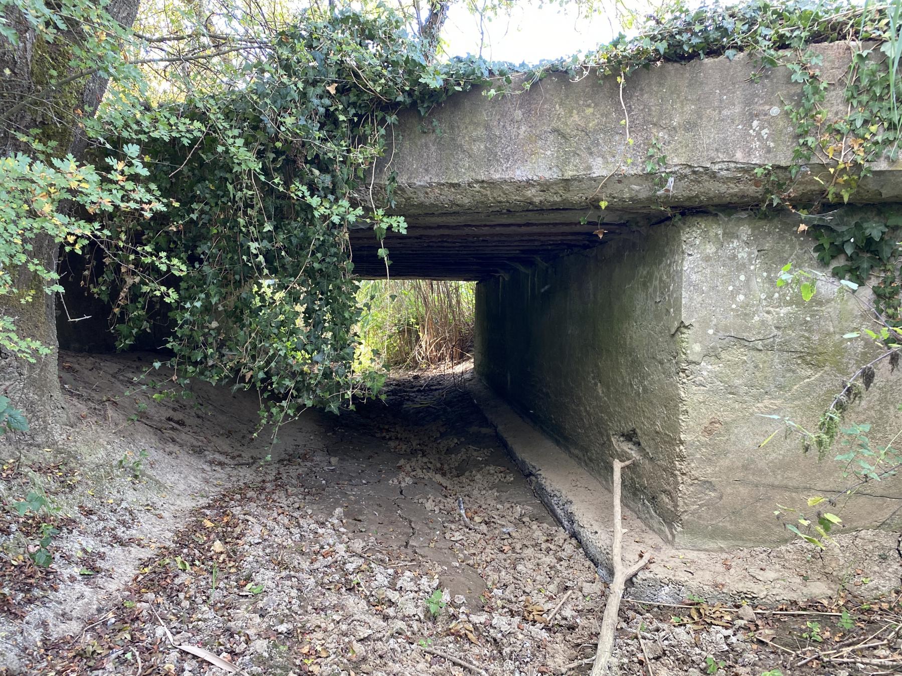 Ligne Maginot - KUTZENHAUSEN (4/373°RALVF) - (Position ALVF) - Le ponceau créé sur le ruisseau pour le passage de la voie militaire - LAMBERT Pascal